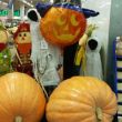 selling-pumpkins
